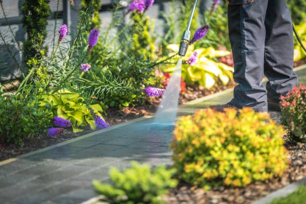 Best Spring Cleaning  in Maugansville, MD