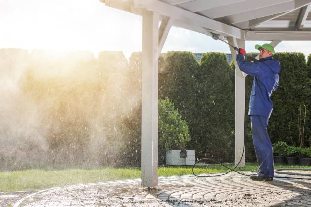 Best Boat and Dock Cleaning  in Maugansville, MD