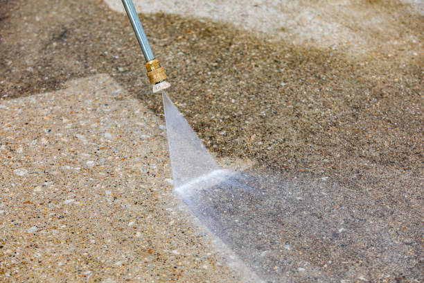 Best House Exterior Washing  in Maugansville, MD