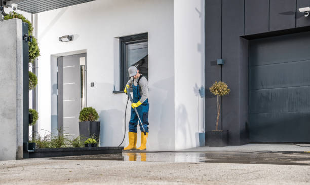 Best Animal Enclosure Cleaning  in Maugansville, MD